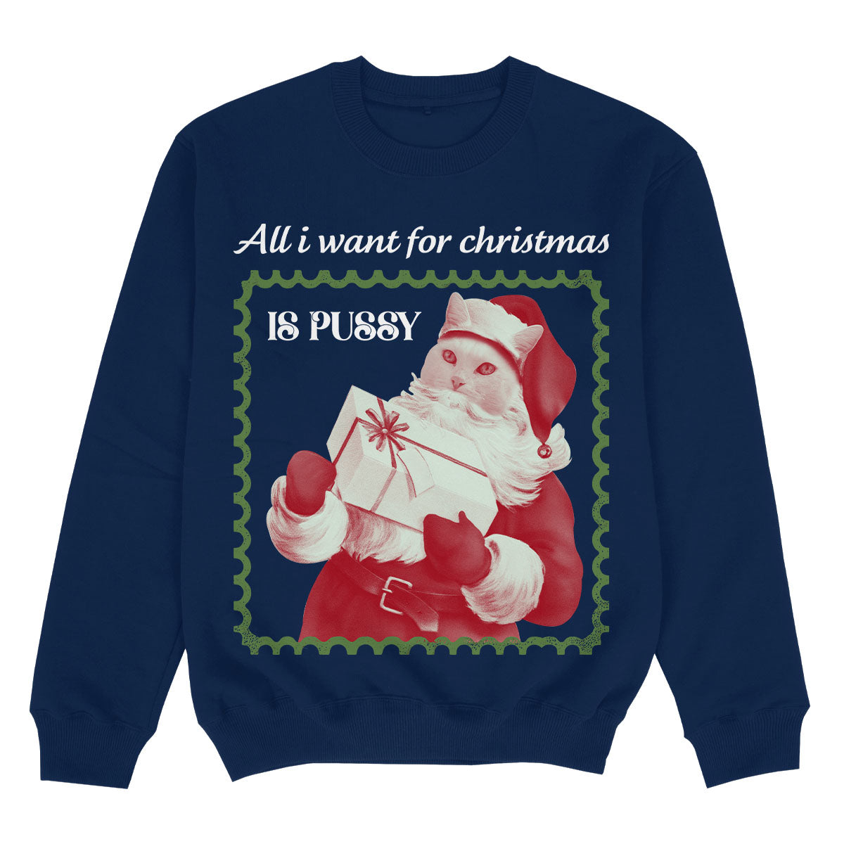 ALL I WANT CAT - Premium Christmas Sweater
